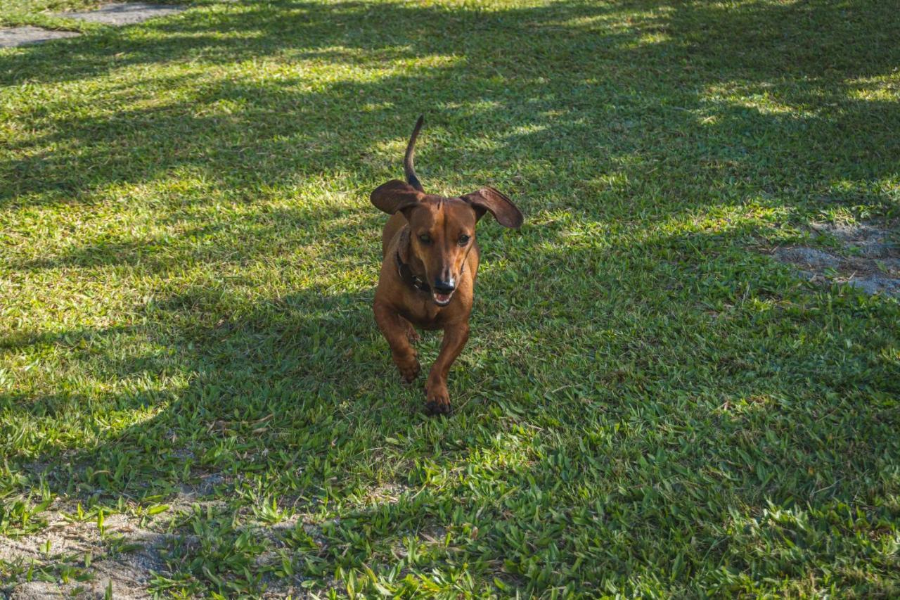 Casa Vista Para Montanha Pet Friendly Caraguatatuba Buitenkant foto